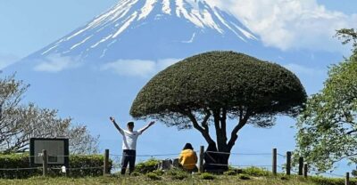 Hakone Hachiri: Old Tokaido Highway Hiking Tour - The walking plan: 8 km in a mostly beginner-friendly day