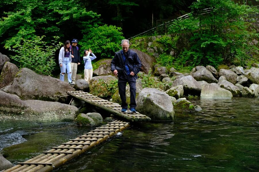 Hakone Hachiri: Old Tokaido Highway Hiking Tour - Old Tokaido cobbles: the texture of Edo travel