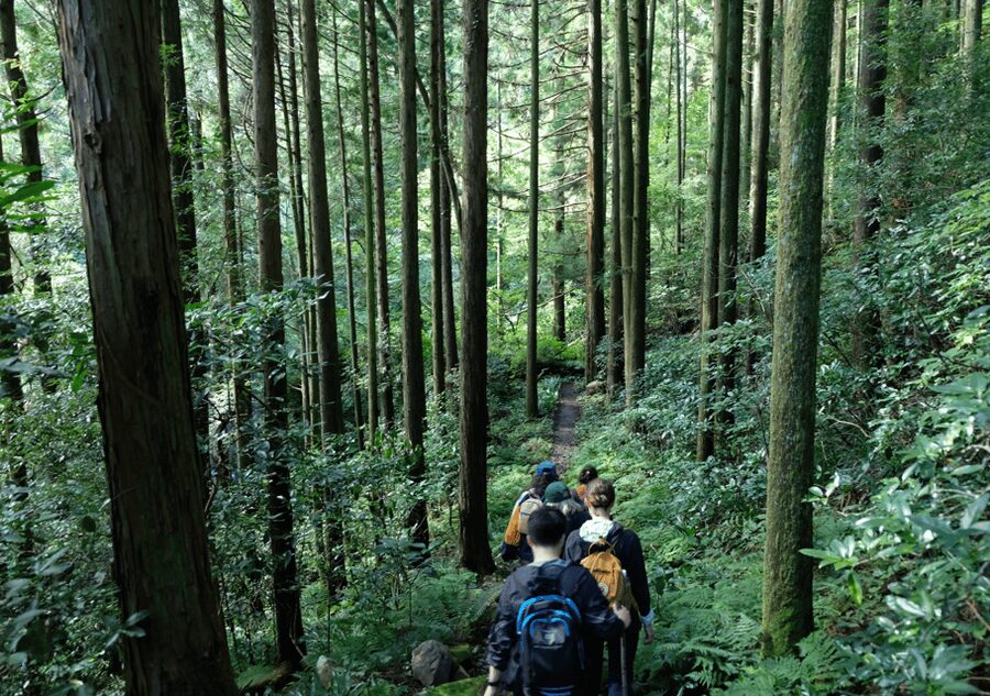 Hakone Hachiri: Old Tokaido Highway Hiking Tour - Lake Ashi and the Torii view: Mt Fuji is a bonus, not a guarantee
