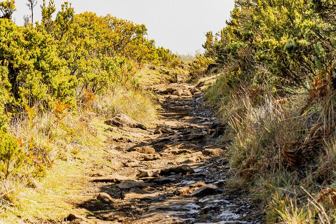 Haleakala Crater Hiking Experience - Stop 1: Haleakala Crater and the 8,000-Foot Acclimation Check