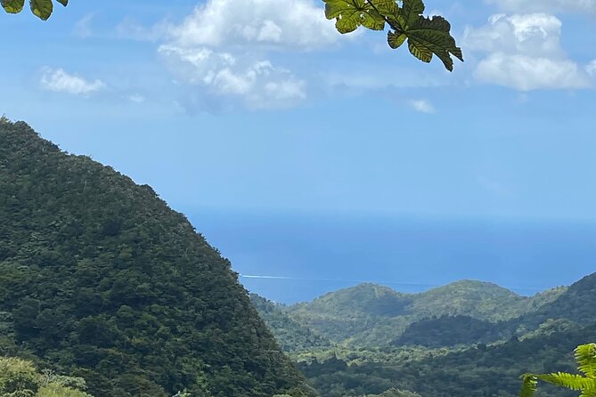 Half Day Grenada Seven Sisters, Grand Etang Nature Center Hiking Tour - Key points before you go