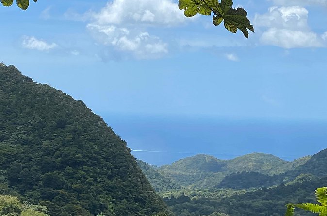 Half Day Grenada Seven Sisters, Grand Etang Nature Center Hiking Tour - Price and value: what you’re really paying for