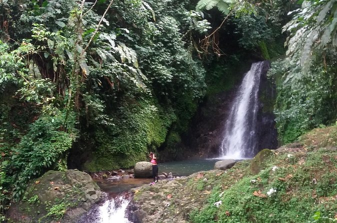 Half Day Grenada Seven Sisters, Grand Etang Nature Center Hiking Tour - Who this hike is best for