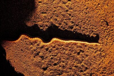 Half-Day Guided Hike in Joshua Tree National Park - Tailored routes: easy stroll, real hike, or a controlled scramble