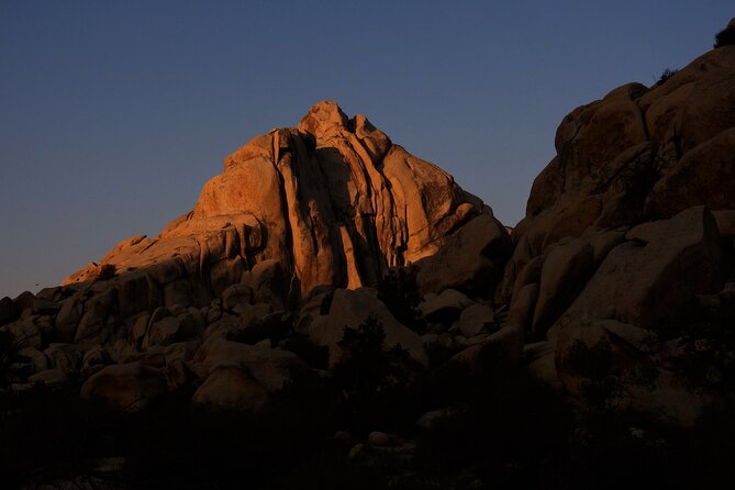 Half-Day Guided Hike in Joshua Tree National Park - Included gear and what you should bring