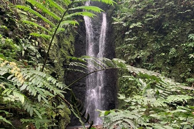 Half-Day Guided Hike to Afareaitu Waterfall - Key points to know before you go
