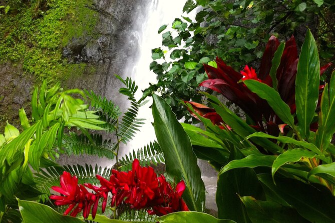 Half-Day Guided Hike to Afareaitu Waterfall - Afareaitu Valley: why this short hike feels like a full experience