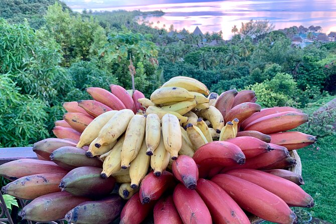 Half-Day Guided Hike to Afareaitu Waterfall - The fruit garden tasting: the sweet ending you’ll remember