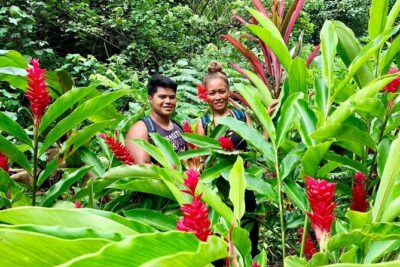 Half-Day Guided Hike to Afareaitu Waterfall - Temple ruins, terraces, and legends on the trail