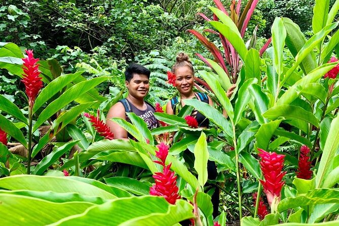 Half-Day Guided Hike to Afareaitu Waterfall - Temple ruins, terraces, and legends on the trail
