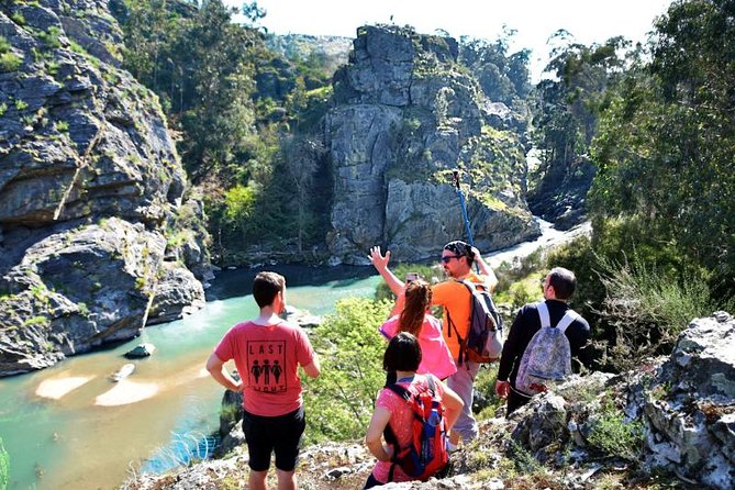 Half-day Hike & Picnic with Dog Love in Porto's Mountains - Key Highlights Worth Booking For