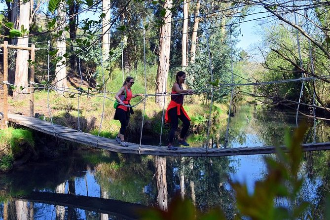 Half-day Hike & Picnic with Dog Love in Porto's Mountains - Porto’s Mountains in Half a Day: Why This Works