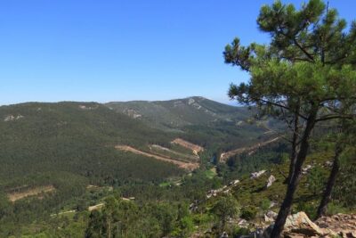 Half-day Hike & Picnic with Dog Love in Porto's Mountains - Getting Started at São Bento: The Easy Launch Point
