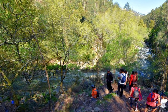 Half-day Hike & Picnic with Dog Love in Porto's Mountains - Weather, Rivers, and the Day’s Mood