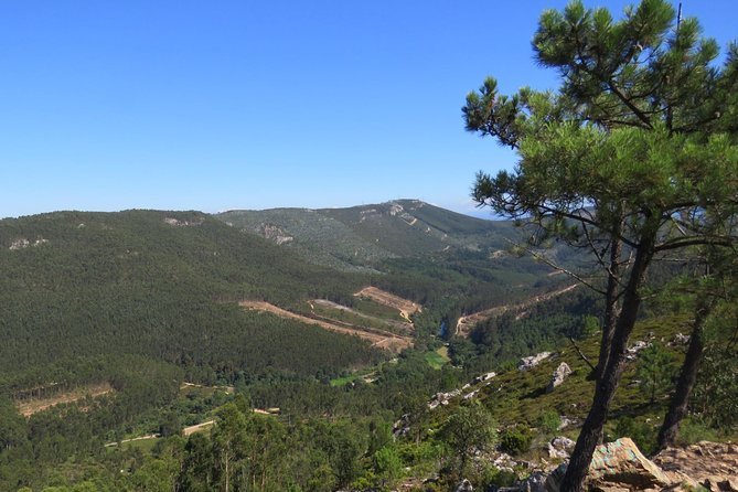 Half-day Hike & Picnic with Dog Love in Porto's Mountains - Getting Started at São Bento: The Easy Launch Point