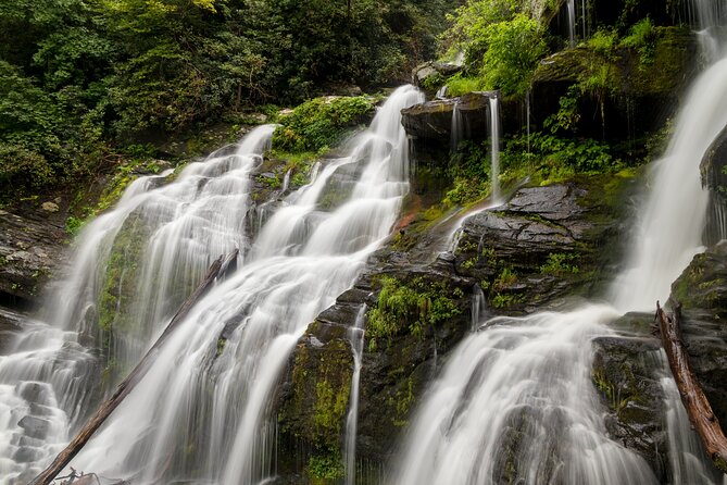 Half Day Hike - Water Falls - The 9:00 am start at the Asheville Visitor Center