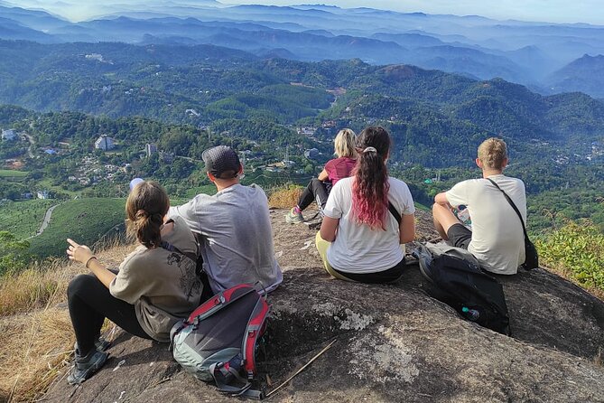 Half Day Hiking in Munnar Trekking Tour - Key highlights you should care about