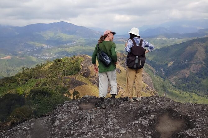 Half Day Hiking in Munnar Trekking Tour - Where you start and end: MG Road, Nullatanni to KSRTC Moolakadai