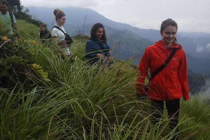 Half Day Hiking in Munnar Trekking Tour - Breakfast and refreshments: why it’s more than a snack