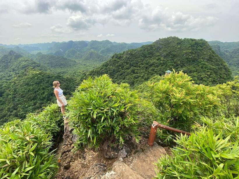 Half Day Hiking to Cat Ba National Park with a Guide - Ngu Lam Peak hike: 45 minutes up, then the view pays you back