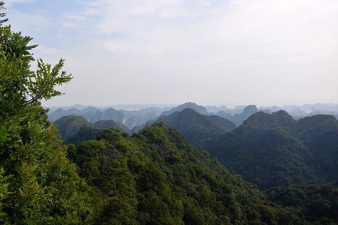 Half Day Hiking to Discover Cat Ba National Park with a Guide - Key Highlights You’ll Feel Fast