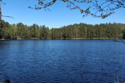 Half Day Hiking Tour in Beautiful Estonian Nature - Stop 1 Paukjärv: Easy Hiking With Big Variety in a Short Time