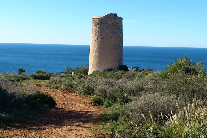 Half-Day Malaga Small-Group Hiking and Snorkeling Tour - Getting back to Malaga at 2:15pm and using your afternoon