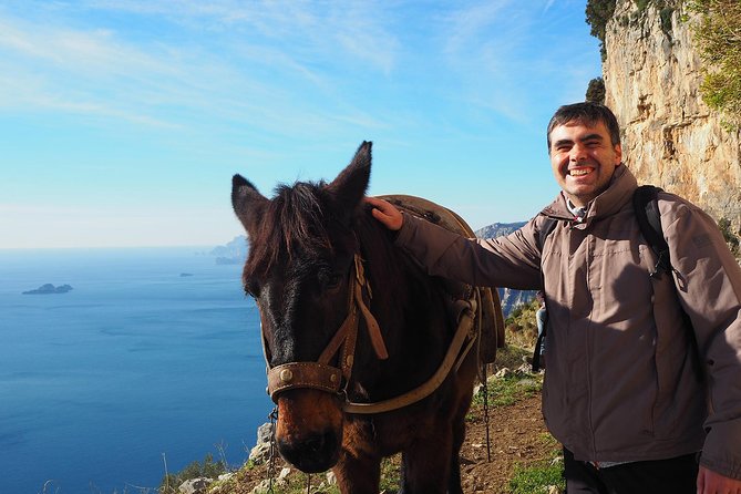 Half-Day Private Amalfi Coast Path of the Gods Hike with Lunch - Sentiero Degli Dei: the hike section where the coastline becomes the show