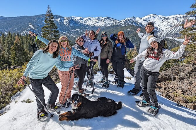 Half Day Snowshoe Hike in Tahoe National Forest - Key highlights you’ll actually care about