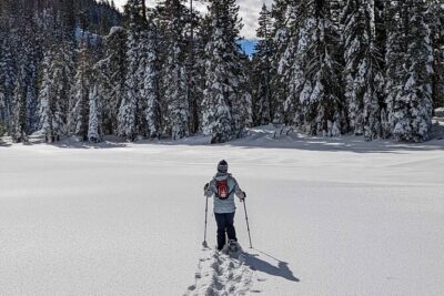 Half Day Snowshoe Hike in Tahoe National Forest - What the 3-hour loop feels like: up 800 feet, then down