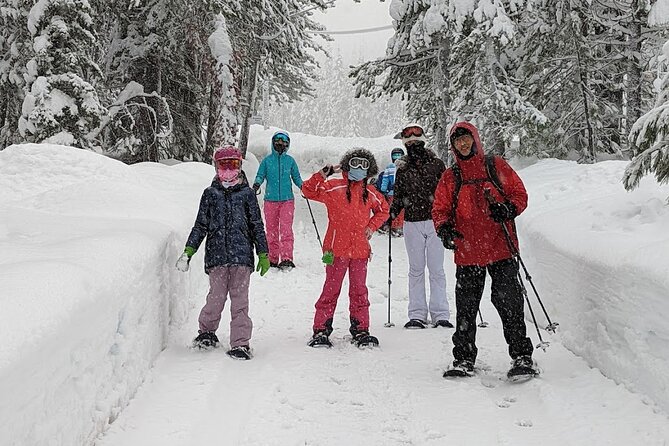 Half Day Snowshoe Hike in Tahoe National Forest - Where you’ll go: Olympic Valley, Alpine, and Lake Tahoe on the route