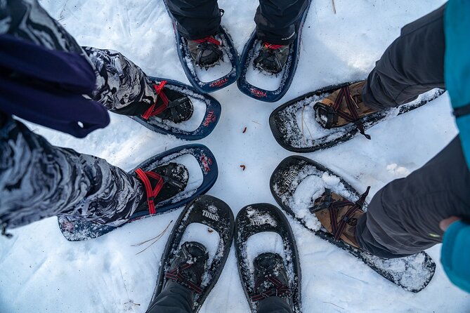 Half Day Snowshoe Hike in Tahoe National Forest - Price and value: what $95 gets you (and why it’s fair)