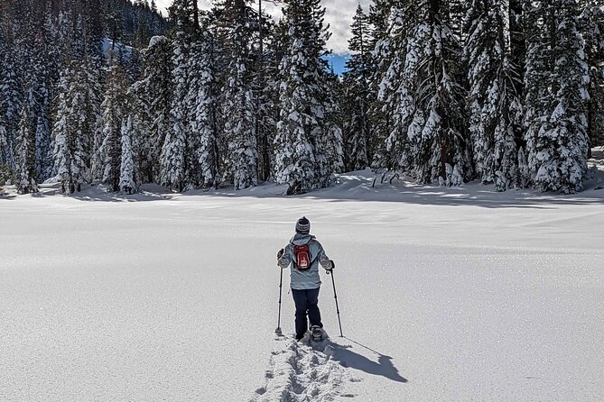Half Day Snowshoe Hike in Tahoe National Forest - What the 3-hour loop feels like: up 800 feet, then down