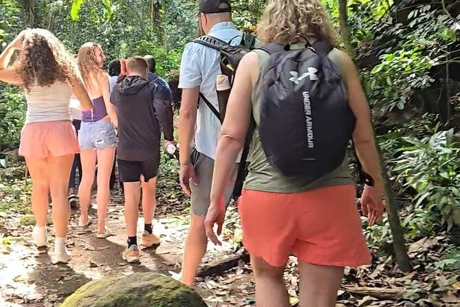 Half-Day St. Kitts Rainforest Hike - Wingfield-Phillips Rain Forest Nature Trail: The core hike