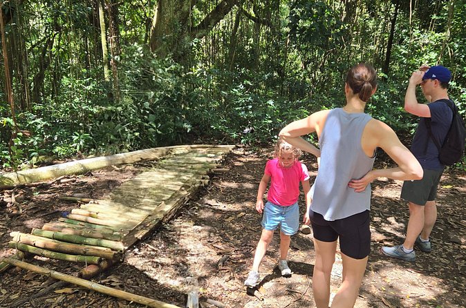 Half-Day St. Kitts Rainforest Hike - Steep, rope-assisted moments and what to wear