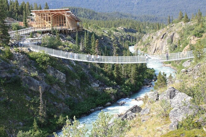 Half Day Yukon Suspension Bridge & Summit Tour - Border-crossing reality check: passport and what you need to bring