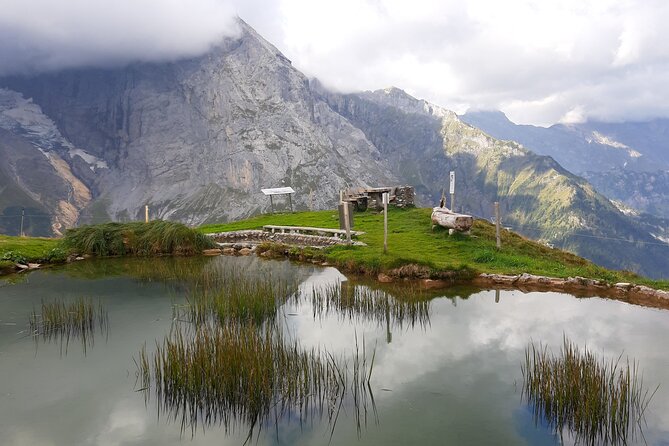 Heart of the Alps Private Hiking Tour from Lucerne - After lunch descent: tree line, forest shade, and a glacier stream