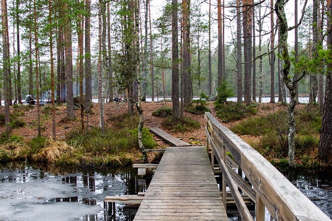 Helsinki: Nuuksio National park hiking with campfire lunch - Helsinki pickup and the day’s timing: plan like a local