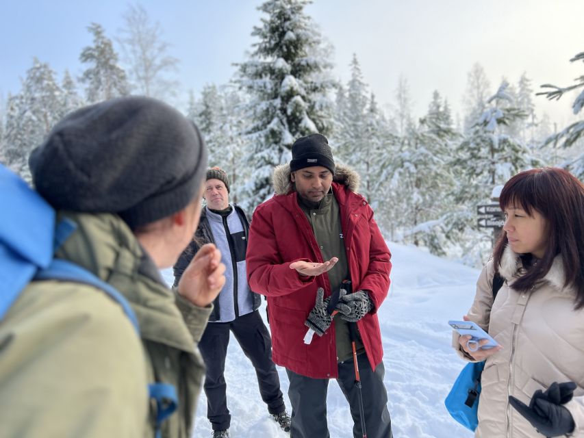 Helsinki: Winter Wonderland Liesjärvi National Park Hike - Getting there from Helsinki: Kiasma meeting point and Taiga Times transport