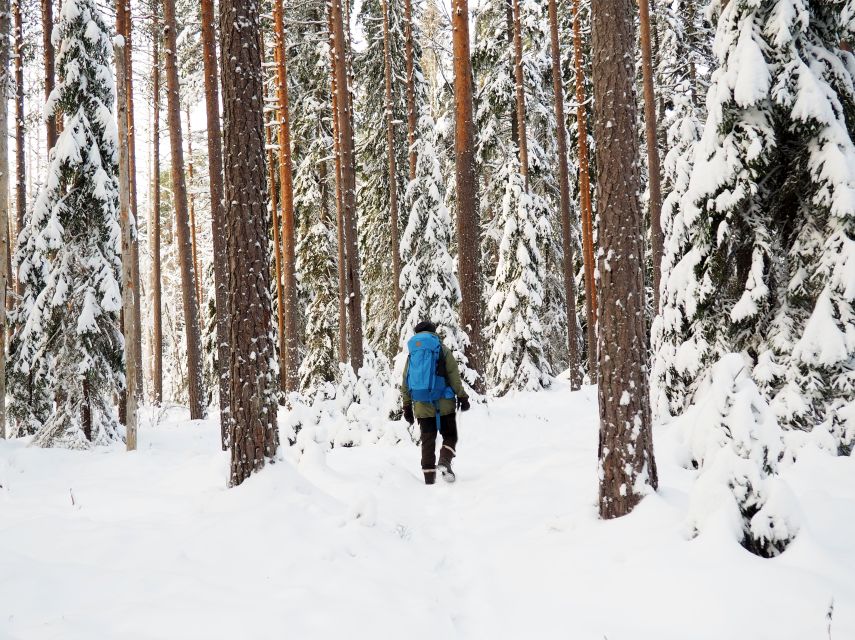 Helsinki: Winter Wonderland Liesjärvi National Park Hike - Gear and comfort: winter boots, accessories, and real cold-weather tips