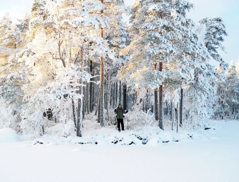 Helsinki: Winter Wonderland Liesjärvi National Park Hike - Sustainability in the snow: how the day treats the forest