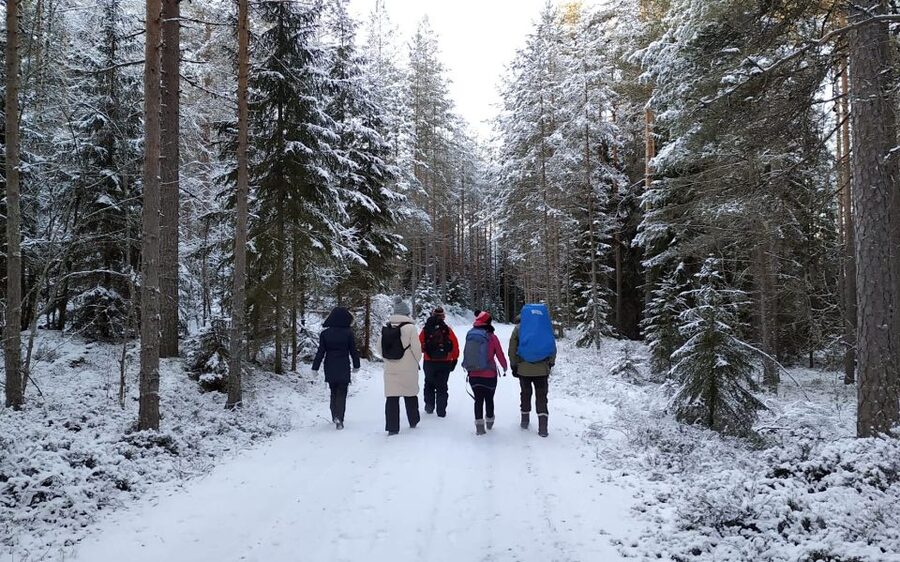 Helsinki: Winter Wonderland Liesjärvi National Park Hike - Who this is best for (and who should skip it)