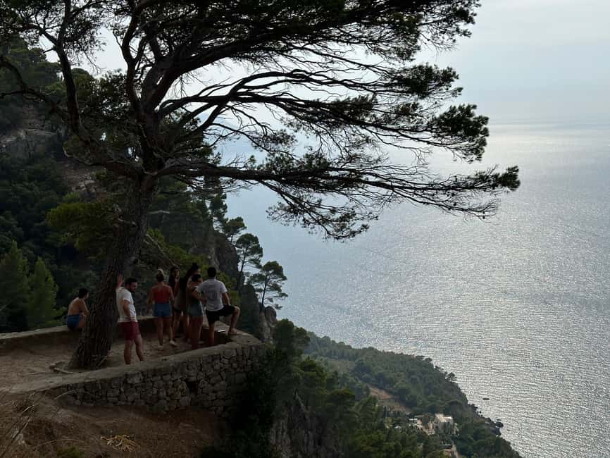 Hidden Coves, Hiking & Snorkeling Adventure in Mallorca - What You’ll Get Out of This Day: Local Feel Without the Guesswork