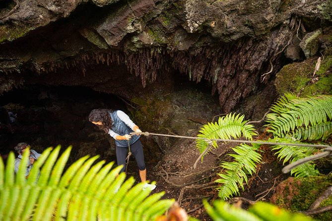 Hidden Craters Hike of Kona - Price and Logistics: Is $198.95 Worth It?