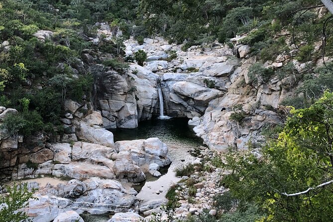 Hidden Waterfalls Hiking Adventure - Key highlights worth noting