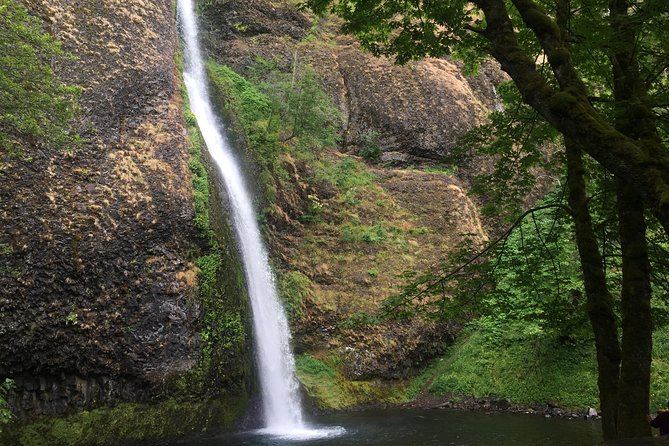 Hike and Bike Tour to Columbia River Gorge Waterfalls - Latourell Falls walk: forest air, creek sounds, and a legend