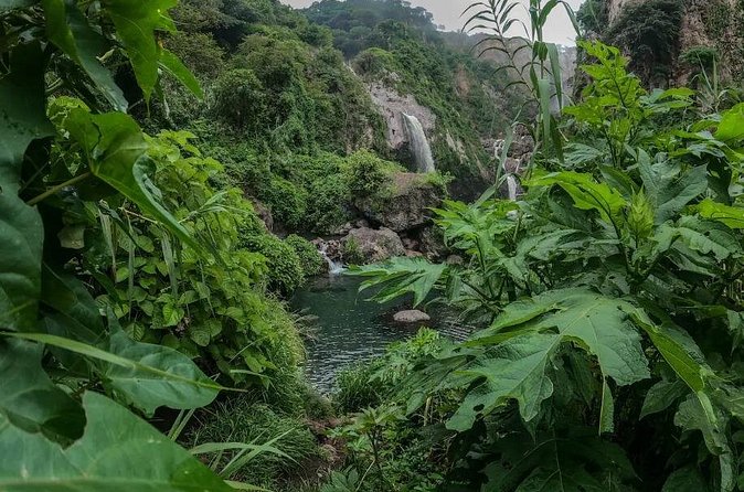 Hike and Swim in fresh springs and waterfalls in Guadalajara - Practical tips that make the day smoother