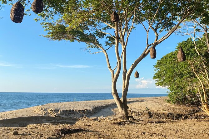 Hike and Yoga Jungle Experience in Mexico - Price and Value: Why $30 Feels Fair for What You Get