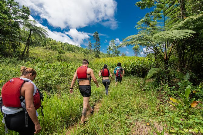 Hike El Yunque Rainforest and Kayak Bio Bay Combo Tour - Key Points Before You Go