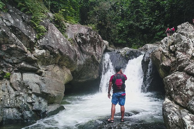 Hike El Yunque Rainforest and Kayak Bio Bay Combo Tour - Pickup, Timing, and the 5-Minute Bus Rule That Shapes Your Day